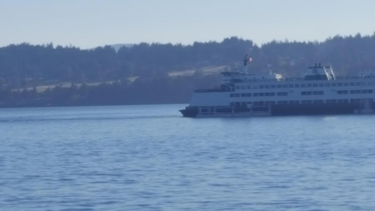 By The Sea Bnb, Sidney Victoria Bc Esterno foto